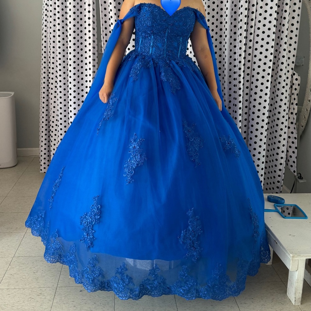 Quinceañera/ Sweet 16 dress